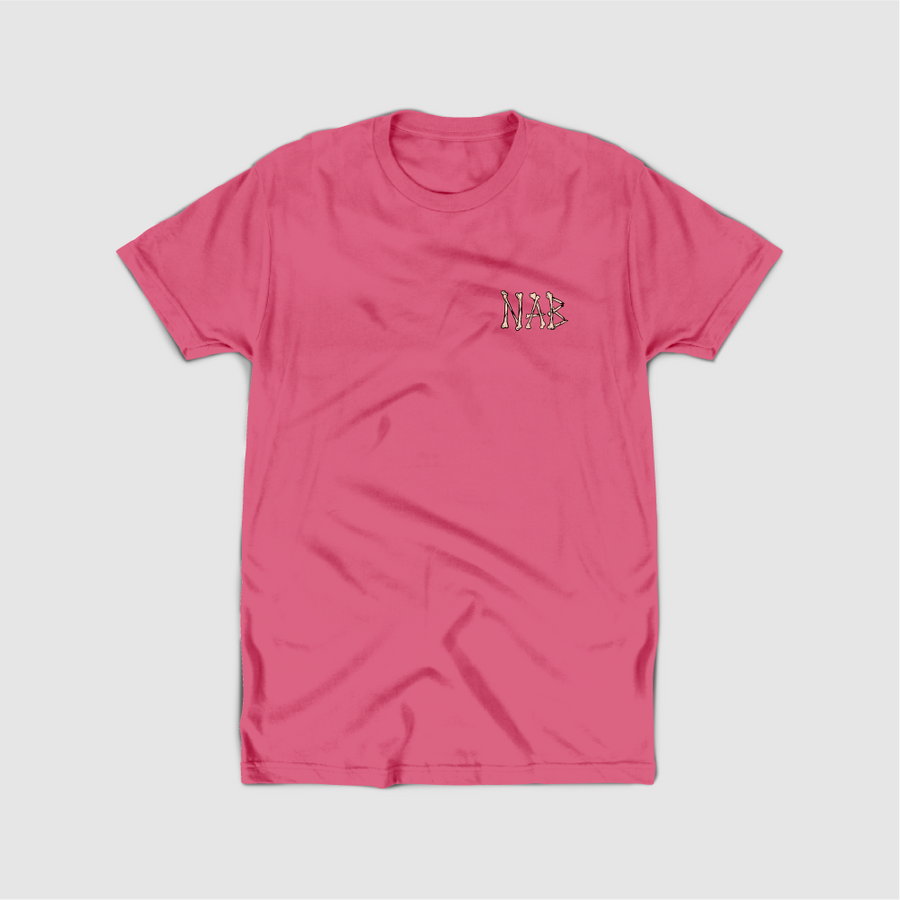 Birds are Dinosaurs Tee